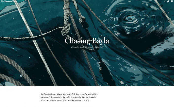 chasing bayla